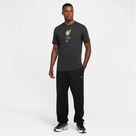 Nike FC Liverpool T-Shirt 2023 grau Herren Gr. S