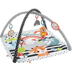 Fisher-Price Spieldecke mit Spielbogen (Licht & Musik), Krabbeldecke ab 0 M.