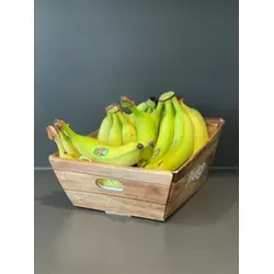 Obstkorb Bananen  4 KG im Korb FRUITON