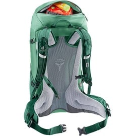 Deuter Futura 24 SL Damen Wanderrucksack