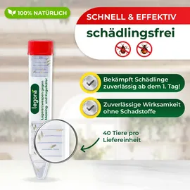 LEGO Lagererzwespen gegen Kugelkäfer & Messingkäfer 1 Röhrchen (10 m2)
