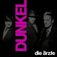 Hot Action Records Dunkel (Ltd.Doppelvinyl Im Schuber Mit Girlande),