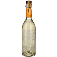 Pasote Añejo Tequila 40% Vol. 0,7l