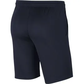 Nike Park 20 Dri-FIT Knit Coach/Travel Shorts Herren obsidian/obsidian/white S