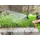 Trendline Gartenschlauch 5-15 m grün