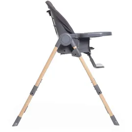 Chicco Hochstuhl Polly Essential (Hochstuhl)