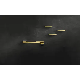 Hansgrohe Axor universal mit Deckel, Metall, polished gold optic