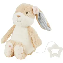 Sterntaler Spieluhr M Hanni