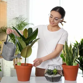 Relaxdays Tonspitzen Bewässerung 4er Set 9,5 x 3 x 3 cm