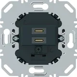 Berker USB Ladesteckdose 270415