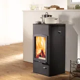Austroflamm Lucy Cook Kaminofen Stahl gussgrau + 1 m3 Kaminholz gratis