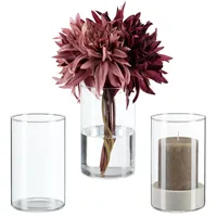 Relaxdays Vasen aus Glas, Blumenvasen im 3er Set, Glasvasen