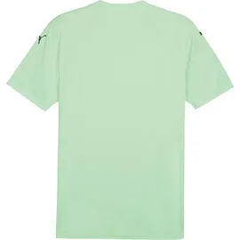 Puma teamGLORY fresh mint schwarz XL