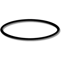 Wiltec Sunsun Ersatzteil für Druckteichfilter Cpf-2500 O-ring 5, effiziente Teichfilteranlage 6000 l/h, Teichdruckfilter mit Uvc-lampe