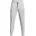 Armour Armour Joggers Regular Grau L
