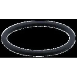 IFM O-Ring Zulassung E30123