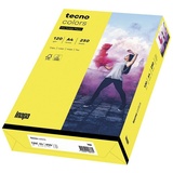 Inapa tecno colors A4 120 g/m2 250 Blatt gelb