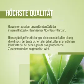 Kräuterhaus Sanct Bernhard Sanct Bernhard Aloe-Vera-Trinkgel unverdünnt, 3 x 1000 ml - 3 Liter