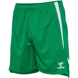 hummel hmlLEAD 2.0 Shorts Herren 6235 jelly bean XL