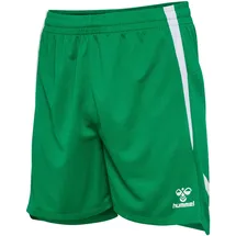 hummel hmlLEAD 2.0 Shorts Herren 6235 jelly bean XL