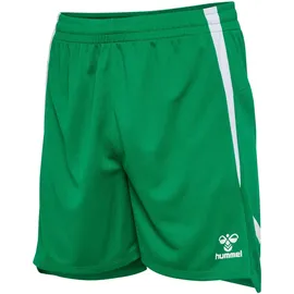 hummel hmlLEAD 2.0 Shorts Herren 6235 jelly bean XL