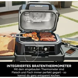 Ninja Woodfire Pro Connect XL schwarz