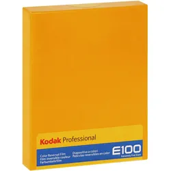 KODAK Ektachrome E100 4x5 Inch 10 Blatt (Angebot)