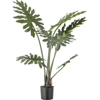 Bloomingville Bloomingville, Künstliche Philodendron (84 cm)