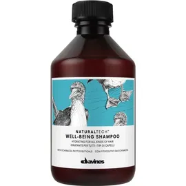 Davines Naturaltech Well-Being 250 ml