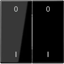 Jung Wandsender ENO LS 995-01 SW