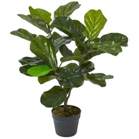 Homescapes Geigenfeige Kunstpflanze im Topf - 70 cm -