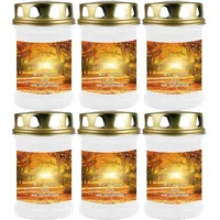 HS Candle Grabkerze (6-tlg), Grabkerze Brenndauer 40 Stunden viele vers. Variationen und Motive weiß