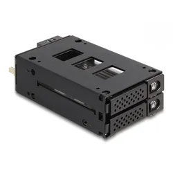 Delock Mobiles Speicher-Rack - schmaler Schacht - 5,25" bis 2 x 2,5" (13,3 cm bi