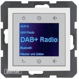 Berker Radio Touch UP DAB+ S.1/B.x pw. gl.