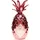 Piñaq Pinaq Liqueur Rosé 17% Vol. 1 l