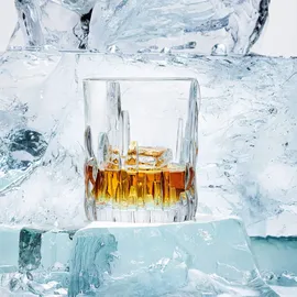 Spiegelau Whiskyglas 0,33 l 12 St.
