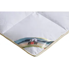 RIBECO Federbettdecke RIBECO "Überraschungspaket, Bettdecken Gr. B/L: 220 cm x 200 cm, extrawarm, weiß Allergiker Bettdecke die Farbe wird Überraschung sein