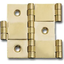 Paravantscharnier - 60x26 poliert
