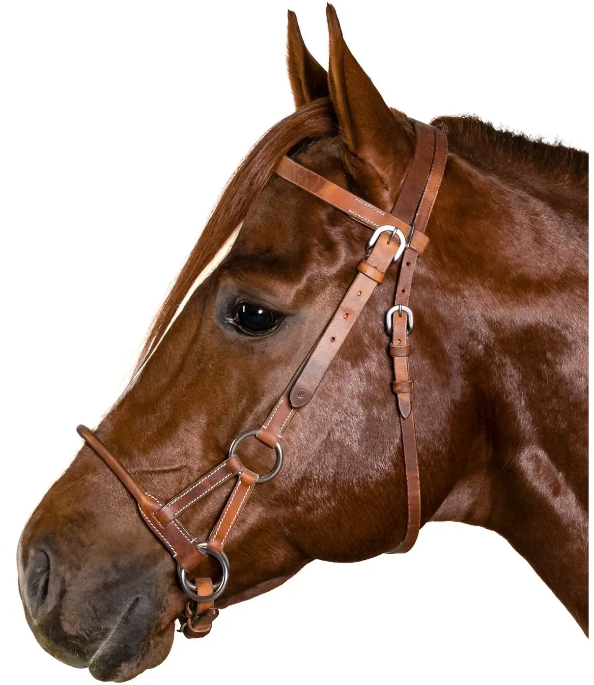 L-pro West Sidepull brown Vollblut