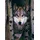 Eurographics Gray Wolf (6000-1244)