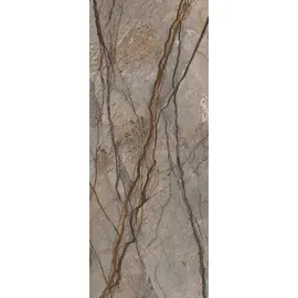 Schulte Duschrückwand Braun