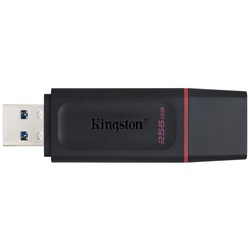 Kingston KINGSTON 256GB DT EXODIA USB 3.2 GEN 1 USB-Stick