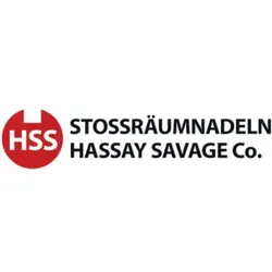 Räumnadel-Einlage Gr22VI Hassay Savage IBT