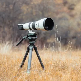 Rollei Lion Rock Pro Instinct Video