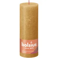 Bolsius Rustik Stumpenkerze 19 x 6.8 cm honigwabengelb