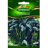 Quedlinburger Palmkohl ''Nero di Toscana''