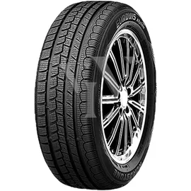 Roadstone Eurovis Alpine WH1 205/60 R16 92H
