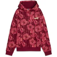 Puma Unisex ESS+ Class Act AOP Hoodie FL Hoodies