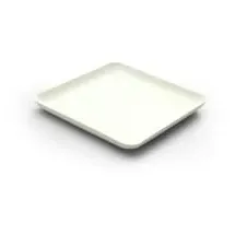 sier disposables Teller aus Zuckerrohr viereck 40 St. Weiß
