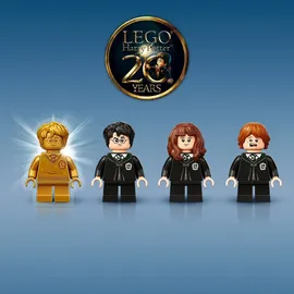 LEGO Harry Potter Hogwarts: Misslungener Vielsafttrank 76386